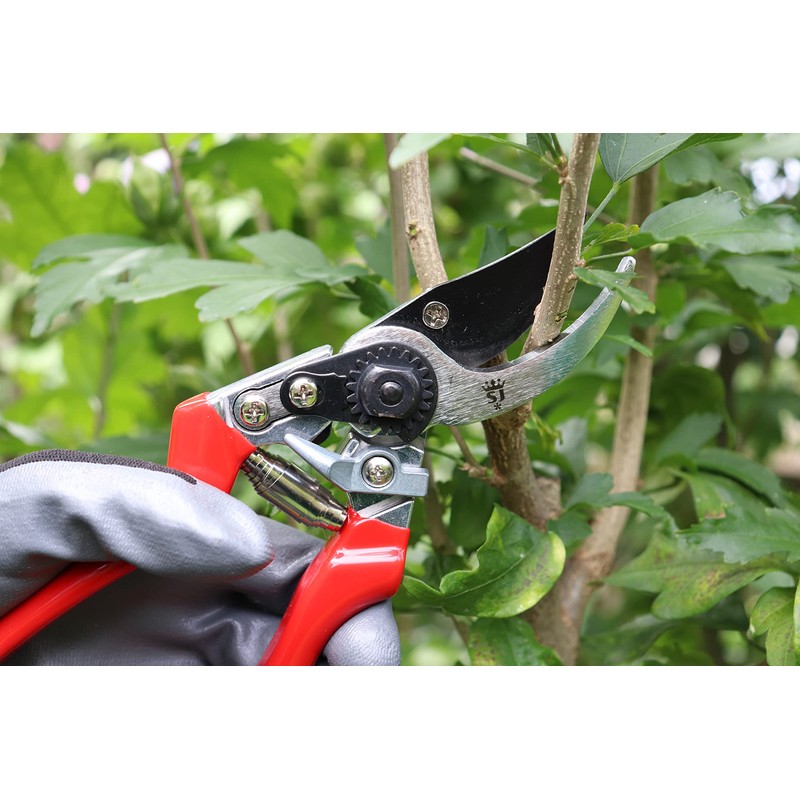 Spear & Jackson 56514 Secateurs for Left-Handed Forge 21 cm,