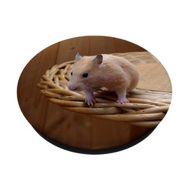 Mouse Animal Art Photography Pet Gift