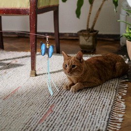 Lyyxjsltd 3 Pack Butterfly Cat Teaser Cat Teaser Toy Cat Toy Kitten Interactive Toys Wand Toys Pet Cats Toy