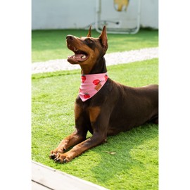 Dog Bandanas 2 Pack,Double Layer Fabric pet Scarf Durable Fabric for Dog cat Birthday (Pink, X-Large)