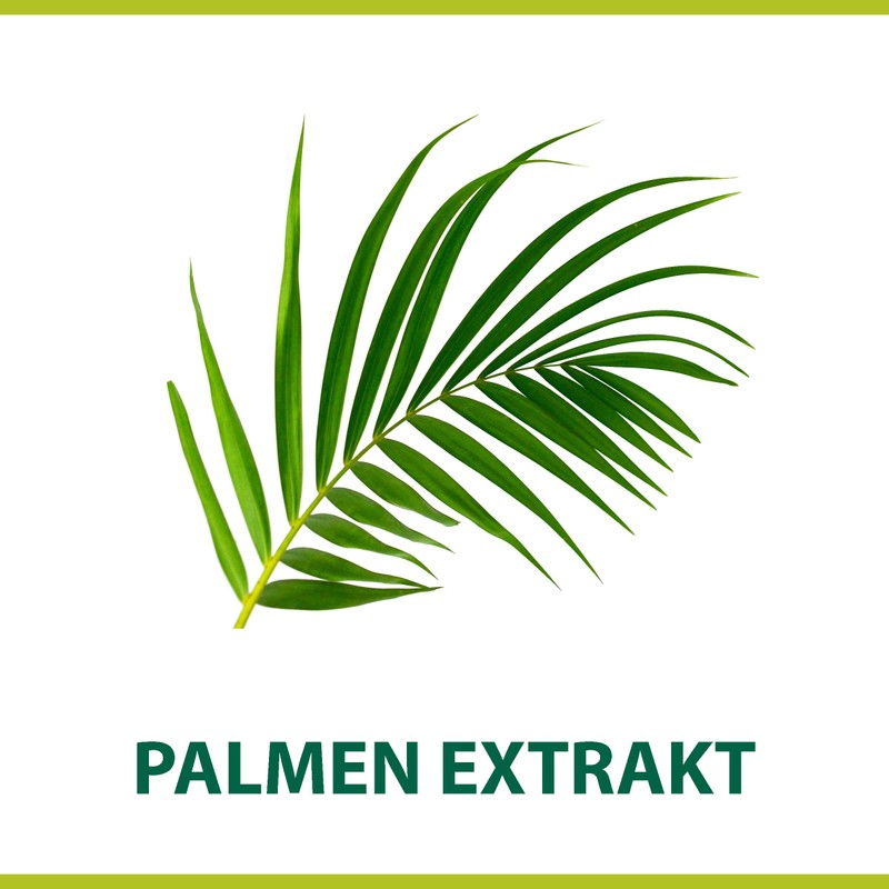 Palmolive For Men Classic Palm Extract Shave Cream 100ml