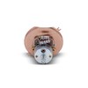 Omix-Ada | 17210.15 | Engine Coolant Temperature Gauge | OE