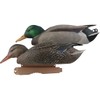 Avery PG Mallards-Surface Feeder Pack (Pair)