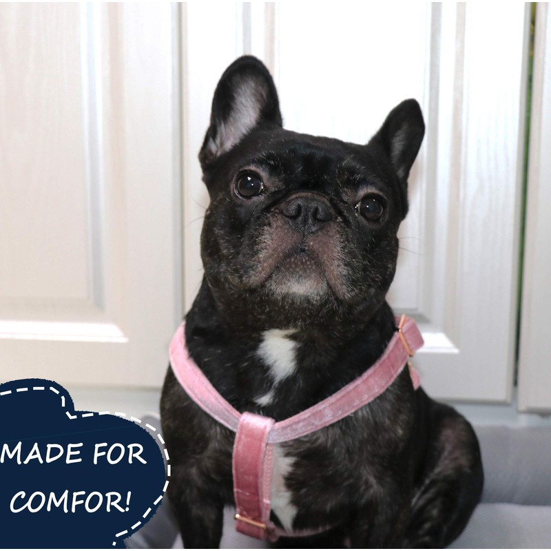 ARING PET Dog Halter Harness, Velvet Dog Harness, No Pull