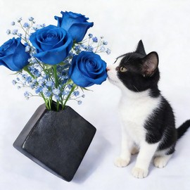 Black Vase, Single Vase, Small, Stylish, Mini Vase, Ceramic Vase, Flower Base, Fukuka Stylish Ceramic Bottle, Black, Mini Flower Bottle, Black 3.1 inches (8 cm)