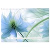 Enchanting Flowers (Wall Calendar 2025 DIN A4 Landscape), CALVENDO Monthly