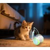 ZeLing HTL Remote Control Cat Toy with Auto Mode -