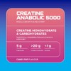 USN Creatine Anabolic Creatine & BCAAs I Candy Pop I