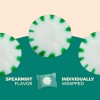 FUNTASTY Sugar-Free Starlight SPEARMINT Hard Candy- 1 Pound Pack
