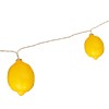 Elegani 10 LED Lemon String Lights – Warm White Indoor