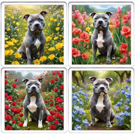 Blue Staffy Coaster Set. 4 different Staffordshire Bull Terrier Dog Pictures on 10cm x 10cm Acrylic Coasters. Boxed Coaster Drip Mat Set.