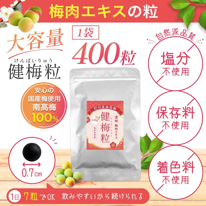 管理栄養士監修 梅肉エキス 梅エキス 粒 健梅粒 塩分不使用 和歌山県産 飲みやすい粒タイプ サプリメント 約400粒