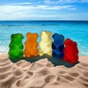Klub Bulk Sugar-Free Gummi Bears Candy-1.5 lbs Delicious Fruit Flavor