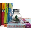 Fish Belli Mini Pet Forest Dragon with Adoption Certifcate Green