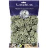 SuperMoss Super Moss (25116 Reindeer Moss Preserved, Moss Green, 2oz