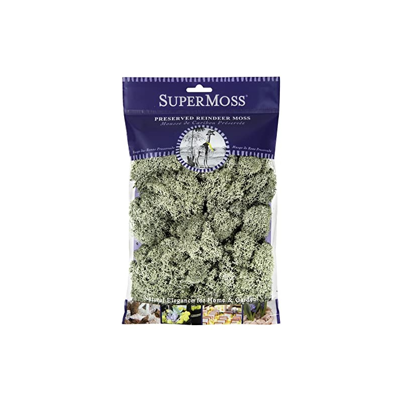 SuperMoss Super Moss (25116 Reindeer Moss Preserved, Moss Green, 2oz