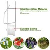 Tomato Holder Hooks 6PCS Tomato Support Hooks Greenhouse Tomato Roller