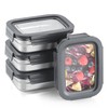 BEFOY 4PCS Stainless Steel Food Storage Container with Lids Bento