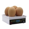 M.Z.A 4 Mini Egg Incubator,Small Poultry Hatcher Temperature Control Hatching