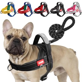 LiebeDD Dog Harness with Lead for Medium Small Dogs Puppies, Colourful Colour Block Harness, Soft Padded Safety Harness Dog with Handle, Reflective & Lightweight, Black + Grey, M