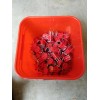 HILTI 2148806 Red KCS-WF 3/8" Kwik Cast Lot of 10