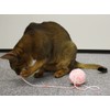CattyMan Puffed Cat Nyanko Ball Pastel