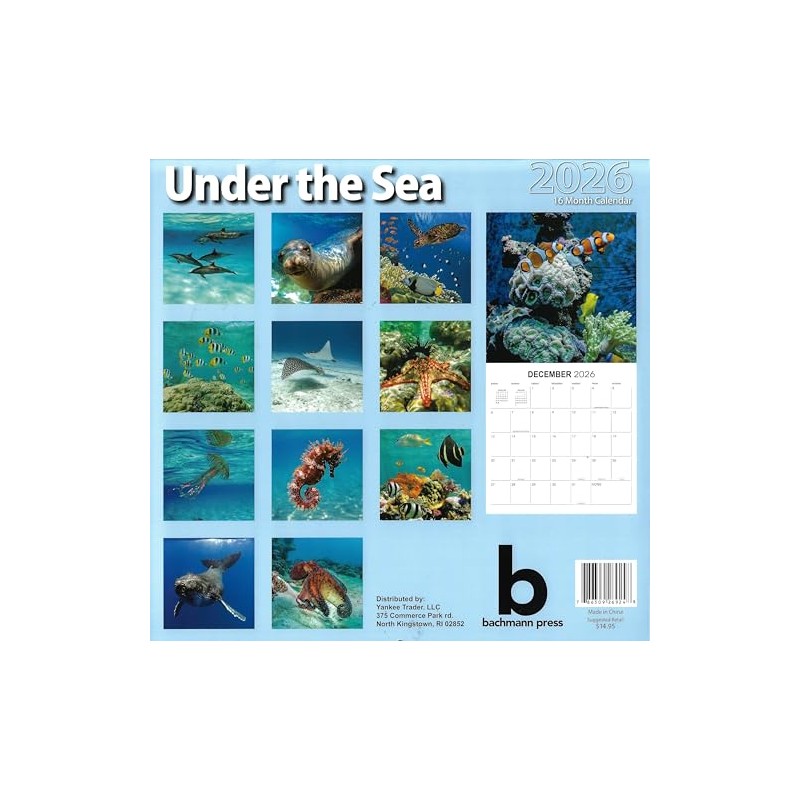 2026 Under the Sea Full Size Wall Calendar for Planning,