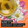 TAZO Calm Chamomile Tea Bags, Caffeine-Free Herbal Tea Bags, 20