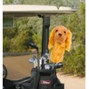 Cocker Spaniel, Does Not Apply