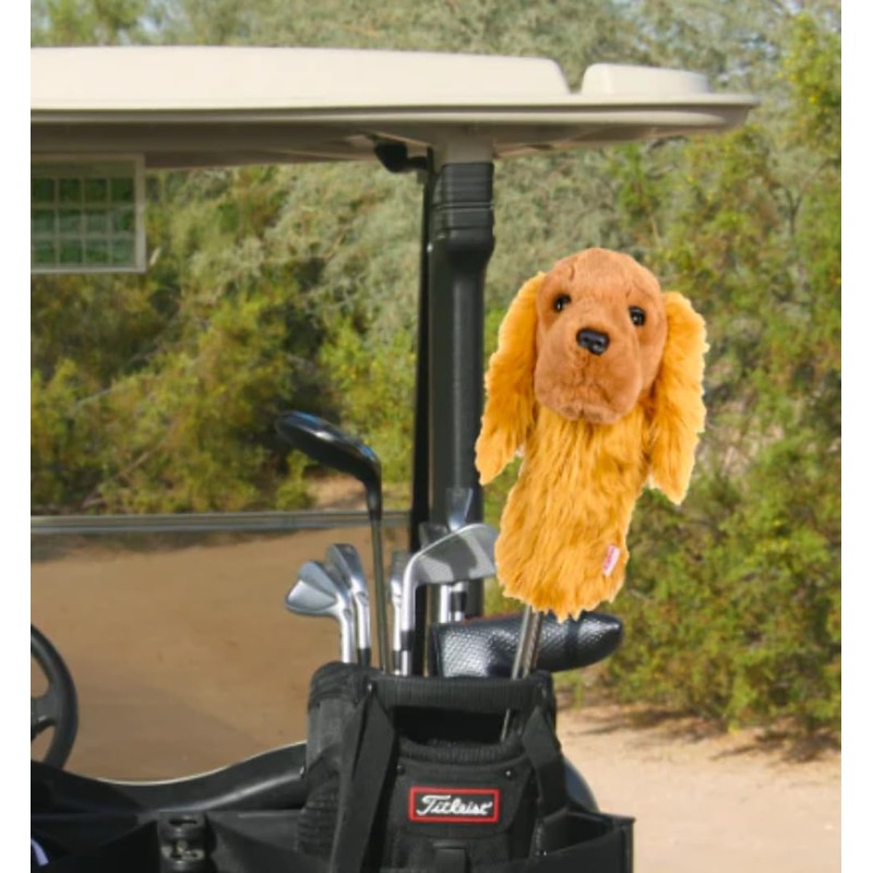 Cocker Spaniel, Does Not Apply
