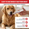Heartwen Activated Charcoal for Dogs & Cats (60 mL) |