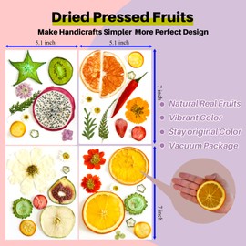 ZQmino Nature Dried Pressed Fruits Flowers for Resin Mold,Real Dried Flower Leaves Dried Fruit for Candle Making Scrapbooking DIY Jewelry Phone Cases Crafts