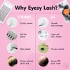 Eyesy Lash 500 Promade Fans | 8D 0.05 Size 10