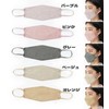 3D Masks, Individually Packaged, JIS Standard Compliant, 100 Pieces, 4-Layer