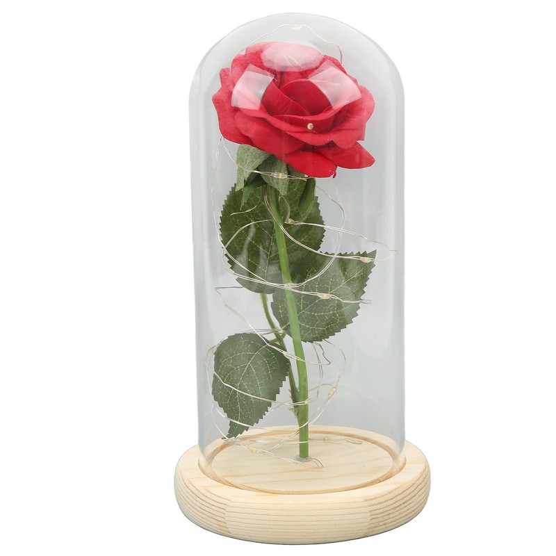 Rose in Glass Dome Lucky Beautiful Symbolism Romantic Enchanted Rose