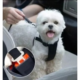 Correa O Cinturon De Seguridad Para Perro