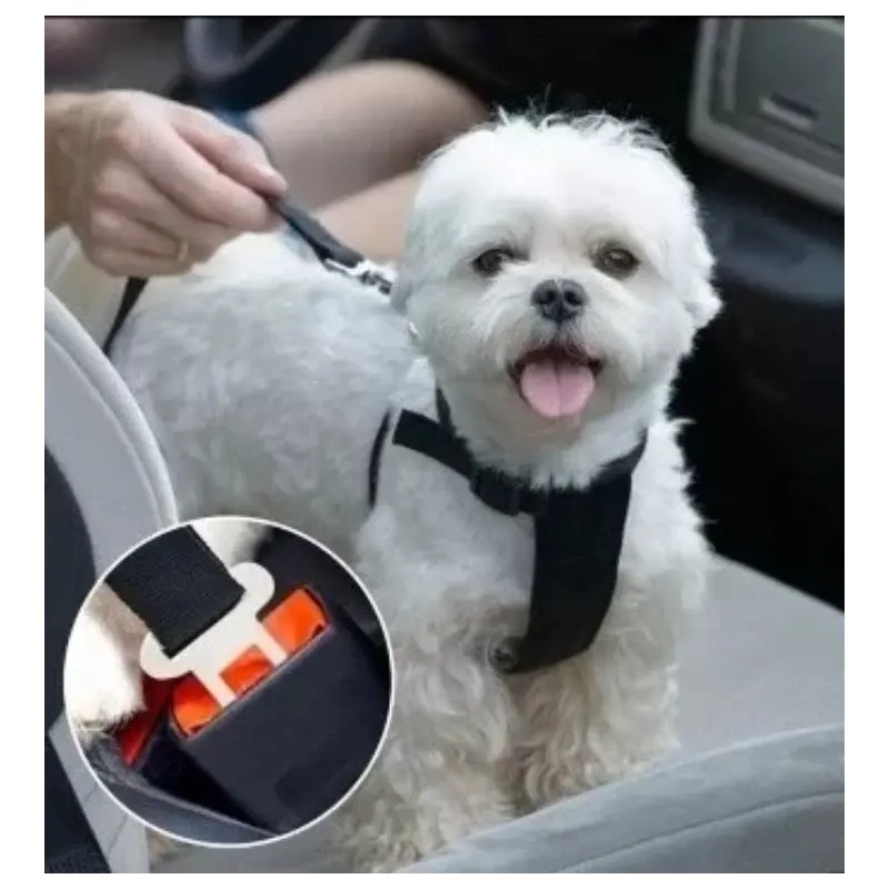 Correa O Cinturon De Seguridad Para Perro