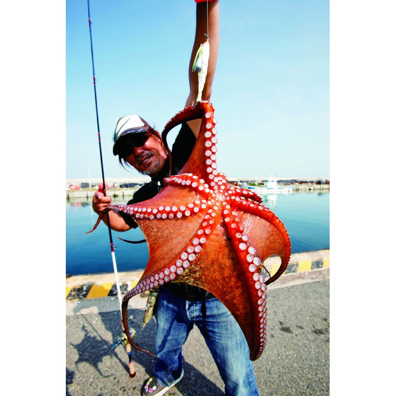 Yo-Zuri Squid Jig, Octopus, No. 3.0, PCL: Pearl Chart Back