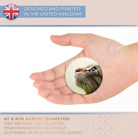 Destination Vinyl ltd Magnet for Refrigerator, Fridge - Cute Cats Face Close Up Cat Pet for Office, Cabinet and Whiteboard, Magnetic Stickers, 14389