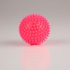 Sport-Tec Soft Hedgehog Ball, Diameter 9 cm, Neon Pink, Various