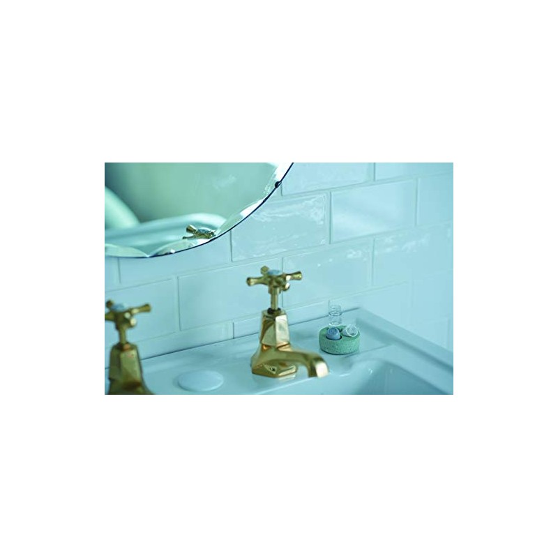 Oil B408 Diatomaceous Earth Contact Lens Case, Tray, Green, Made