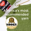 Red Heart Super Saver Yarn, 3 Pack, Favorite Stripe 3