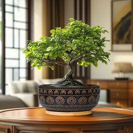 Eightpot Ceramic Bonsai Pots - 8 Inch Plant Pot for Succulent, Round Planter for Indoor Plants, Shallow Planters with Drainage Hole and Tray, Boho Bonsai Bowl, Living Room Decor, Black