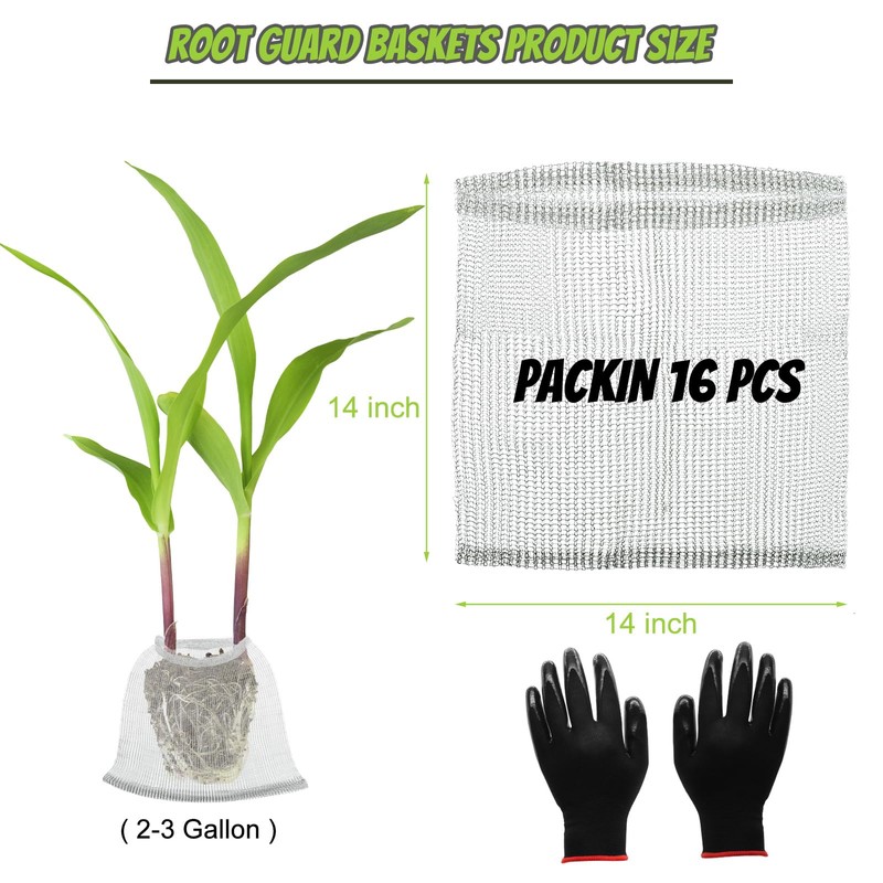 Froidesente 16 Pcs Root Guard Gopher Proof Stainless Wire Steel