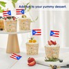 AhfuLife Puerto Rico Flag Toothpick, 200 Pcs Small Tiny Puerto