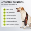 KISFLY Dog Elbow Pads for Calluses Pressure Sores and Shoulder