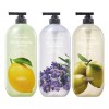 On The Body 온더바디 더내추럴 바디워시 900g, 3개 (레몬1+라벤더1+올리브1) On The Body The Natural Body Wash 900g, 3 Pieces (Lemon 1+Lavender 1+Olive 1)