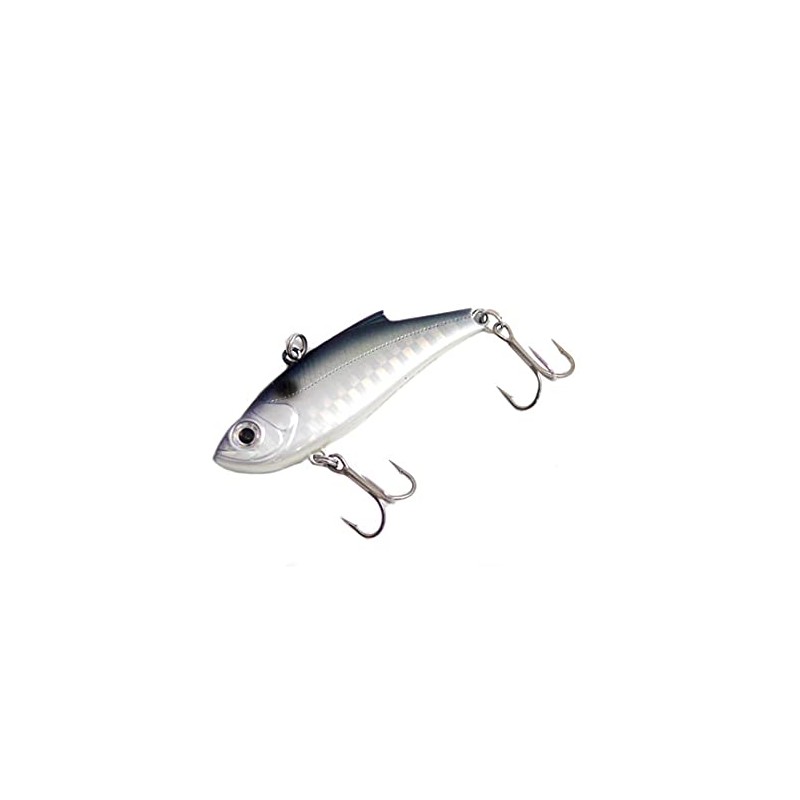 basudei renzibaibu 55ES (1091 Color)