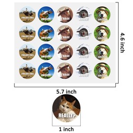 Youngever 2000 Pack Reward Stickers for Teachers, Animal Meme Reward Stickers, Fun Motivational Stickers for Kids, All Ages and All Classes, Positive Stickers, 50 Unique Designs