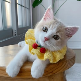 Cute Cat Bow Collar Breakaway Floral Aesthetic Cats Bowtie Collar Knitted for Indoor Cats Kitten and Small Dogs Puppies (S (4-9lbs))